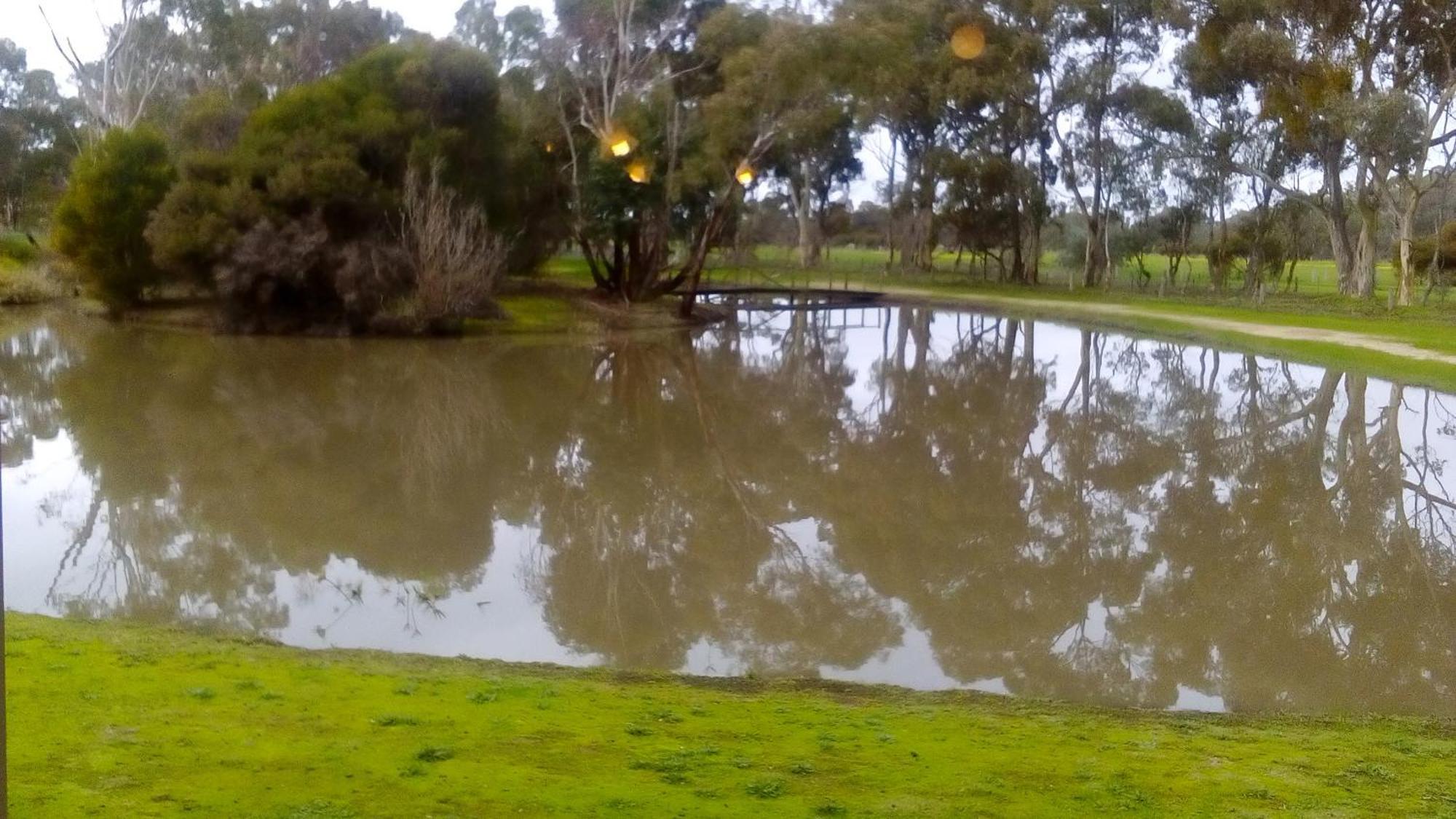 Magdala Motor Lodge & Lakeside Restaurant Stawell Kültér fotó